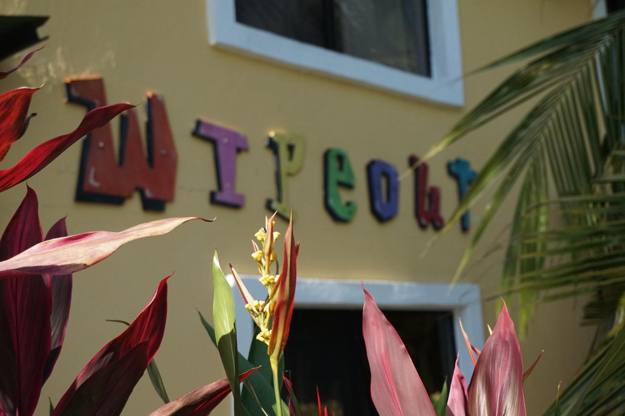 Wipeout Hostel Jacó Exterior foto
